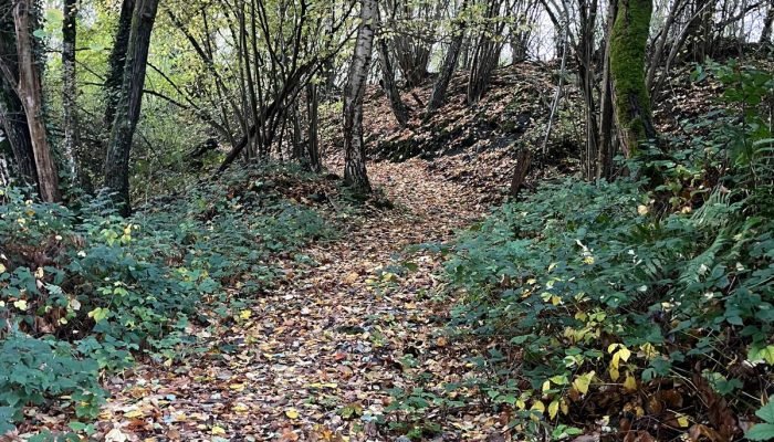 Parcours dans le bois